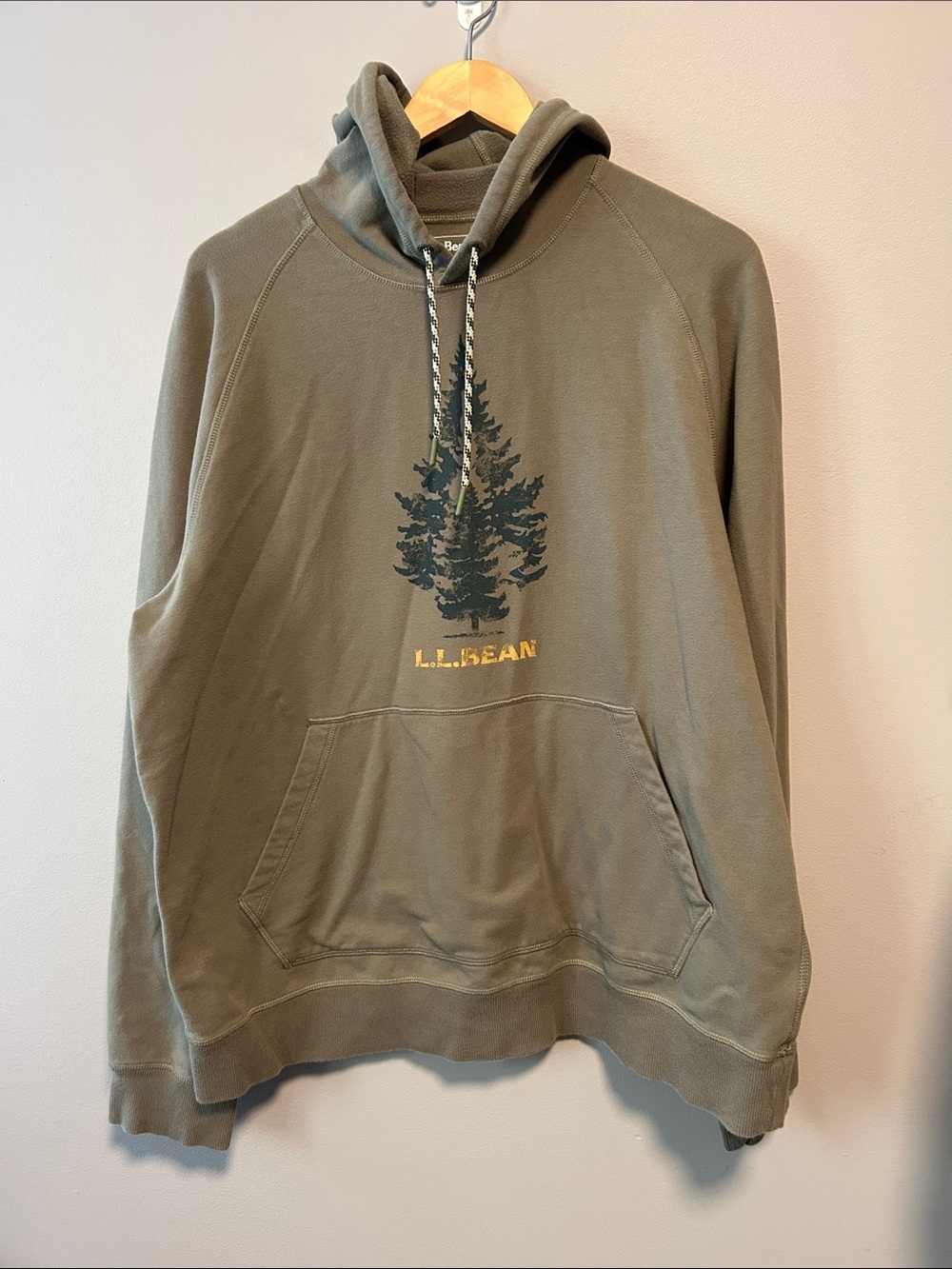 L.L. Bean Men’s Graphic Hoodie